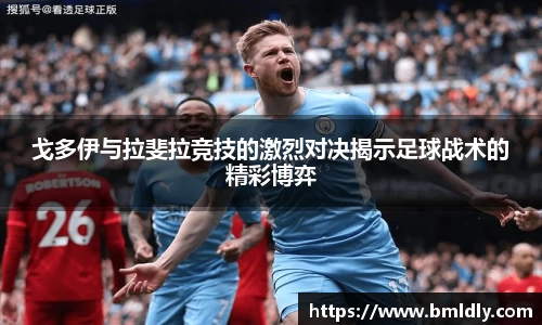 戈多伊与拉斐拉竞技的激烈对决揭示足球战术的精彩博弈
